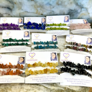 Set de 2 Broches para el Cabello