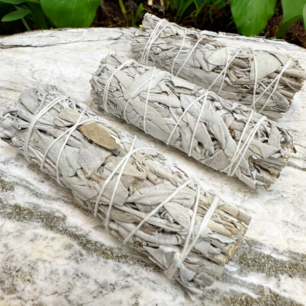 Sage - Image 2